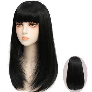 Black Straight Hair Wigs with Bangs for Women Upgrade Synthetic Soft Fibre Wigs
